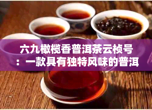 六九橄榄香普洱茶云桢号：一款具有独特风味的普洱茶