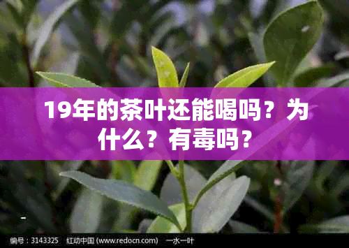 19年的茶叶还能喝吗？为什么？有吗？