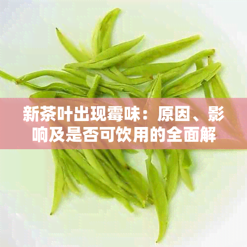 新茶叶出现霉味：原因、影响及是否可饮用的全面解析