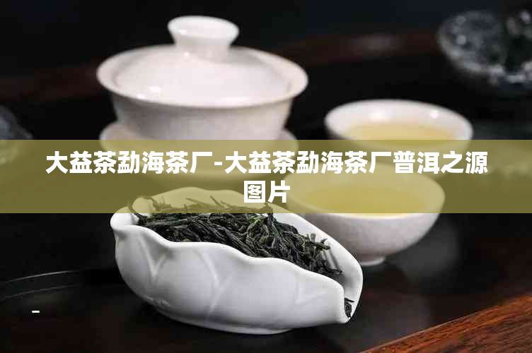 大益茶勐海茶厂-大益茶勐海茶厂普洱之源图片