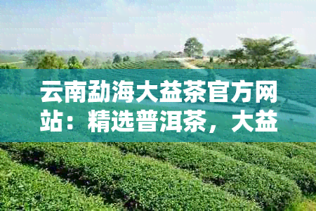 云南勐海大益茶官方网站：精选普洱茶，大益，茶艺文化体验