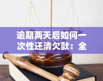 逾期两天后如何一次性还清欠款：全面解决用户疑问