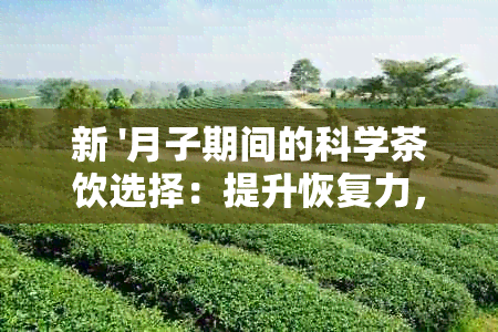 新 '月子期间的科学茶饮选择：提升恢复力，补充营养，缓情绪'