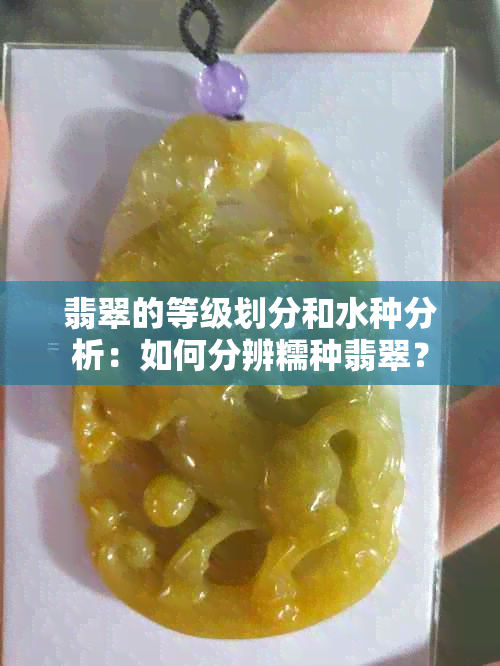 翡翠的等级划分和水种分析：如何分辨糯种翡翠？