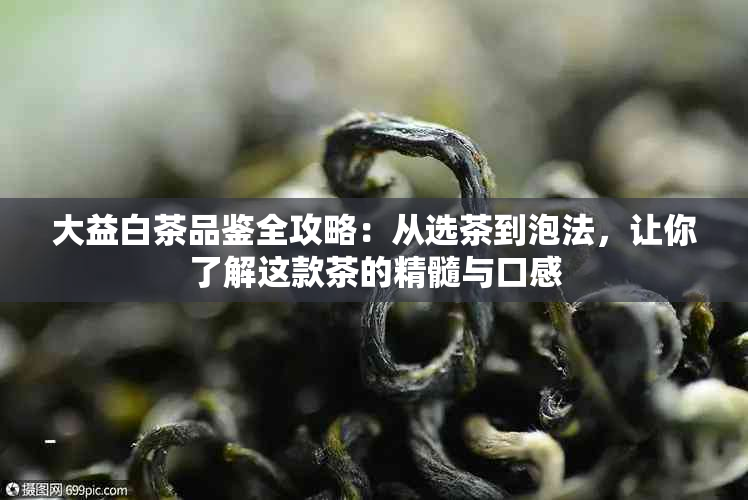 大益白茶品鉴全攻略：从选茶到泡法，让你了解这款茶的精髓与口感