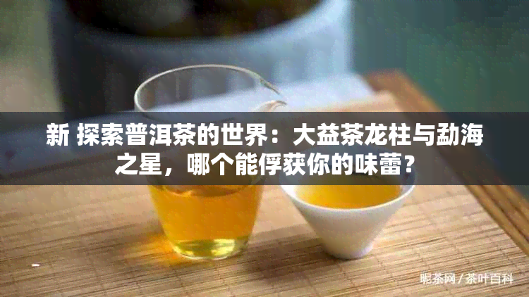 新 探索普洱茶的世界：大益茶龙柱与勐海之星，哪个能俘获你的味蕾？