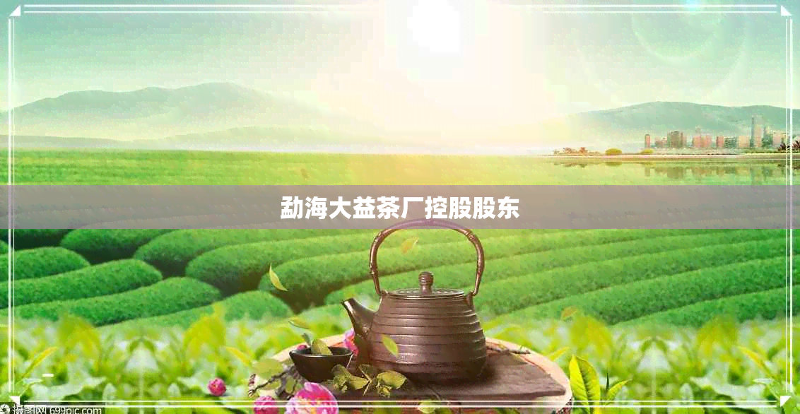 勐海大益茶厂控股股东