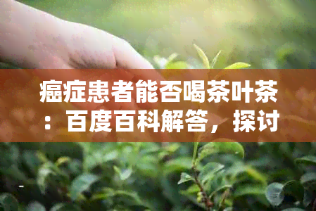 癌症患者能否喝茶叶茶：百度百科解答，探讨癌症患者喝茶的影响及适宜品种。