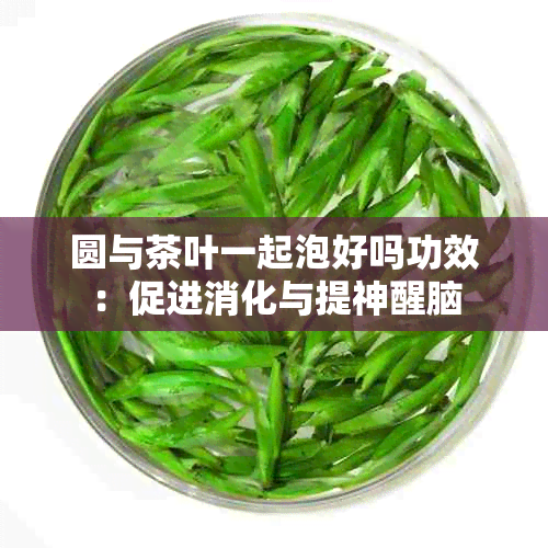 圆与茶叶一起泡好吗功效：促进消化与提神醒脑