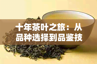 十年茶叶之旅：从品种选择到品鉴技巧，全面指南助您成为茶叶专家