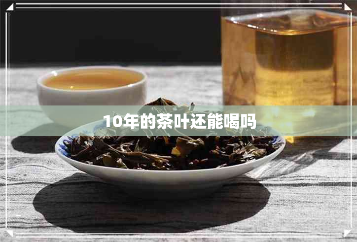 10年的茶叶还能喝吗