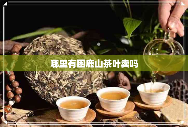 哪里有困鹿山茶叶卖吗