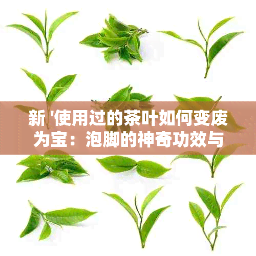 新 '使用过的茶叶如何变废为宝：泡脚的神奇功效与步骤'