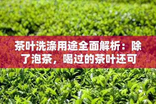 茶叶洗涤用途全面解析：除了泡茶，喝过的茶叶还可以用来洗脚吗？