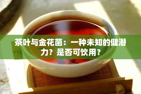 茶叶与金花菌：一种未知的健潜力？是否可饮用？