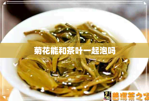 菊花能和茶叶一起泡吗