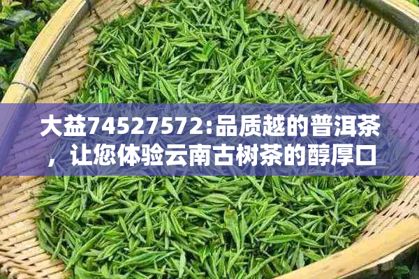 大益74527572:品质越的普洱茶，让您体验云南古树茶的醇厚口感与独特风味