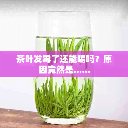 茶叶发霉了还能喝吗？原因竟然是......