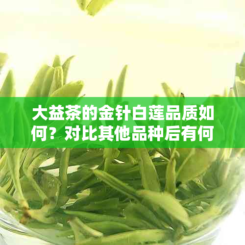 大益茶的金针白莲品质如何？对比其他品种后有何不同体验？