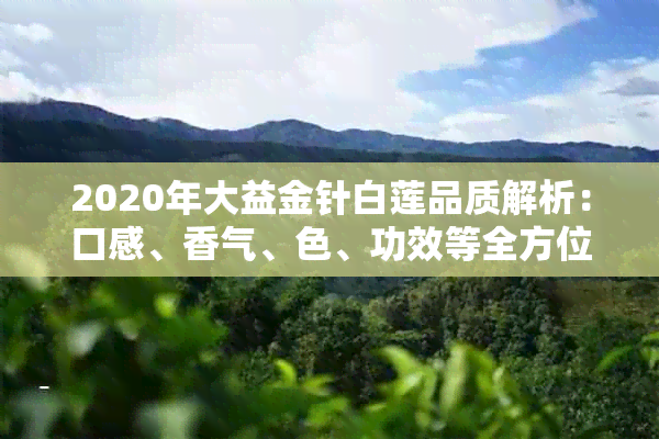 2020年大益金针白莲品质解析：口感、香气、色、功效等全方位详解