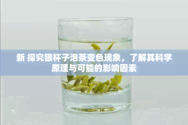 新 探究银杯子泡茶变色现象，了解其科学原理与可能的影响因素