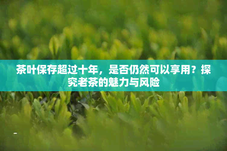 茶叶保存超过十年，是否仍然可以享用？探究老茶的魅力与风险