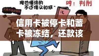 信用卡被停卡和蓄卡被冻结，还款该如何处理？解答用户关心的问题