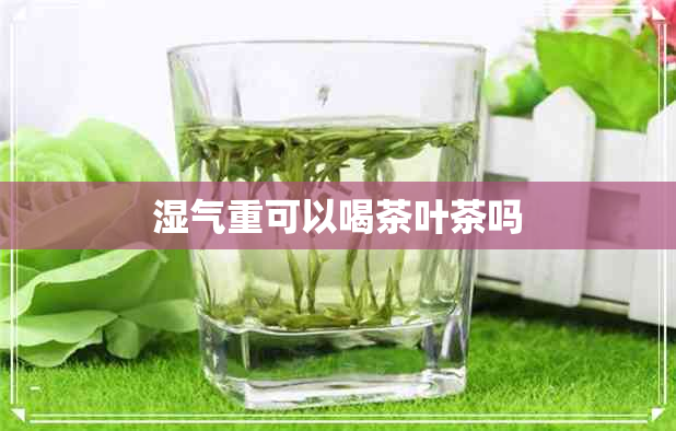 湿气重可以喝茶叶茶吗