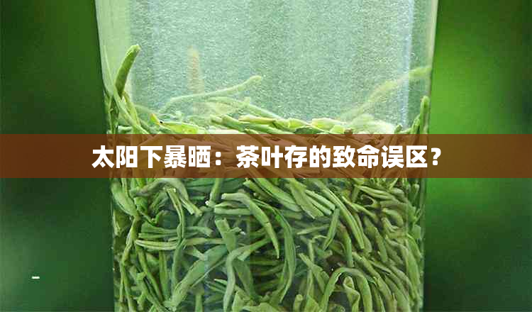 太阳下暴晒：茶叶存的致命误区？