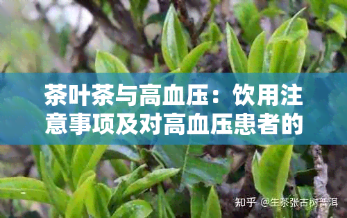 茶叶茶与高血压：饮用注意事项及对高血压患者的影响全解析