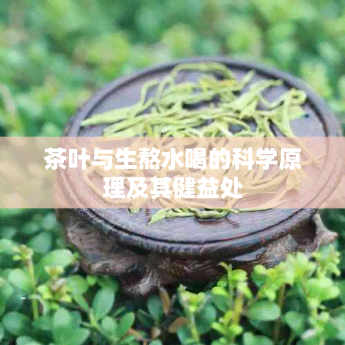 茶叶与生熬水喝的科学原理及其健益处