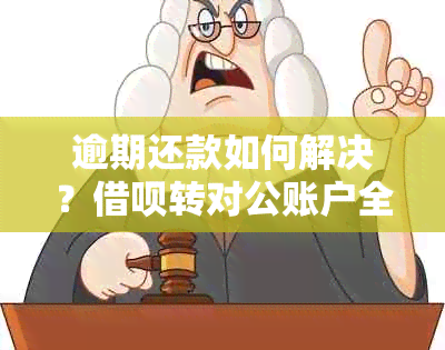 逾期还款如何解决？借呗转对公账户全面解析及应对策略