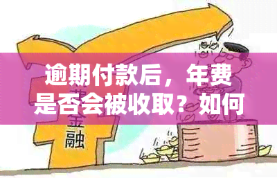 逾期付款后，年费是否会被收取？如何处理这种情况？