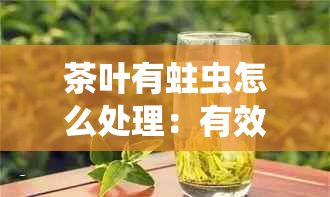 茶叶有蛀虫怎么处理：有效方法帮你解决，保留茶香与口感！