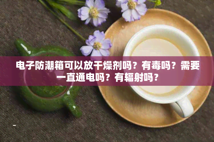 防潮箱可以放干燥剂吗？有吗？需要一直通电吗？有辐射吗？