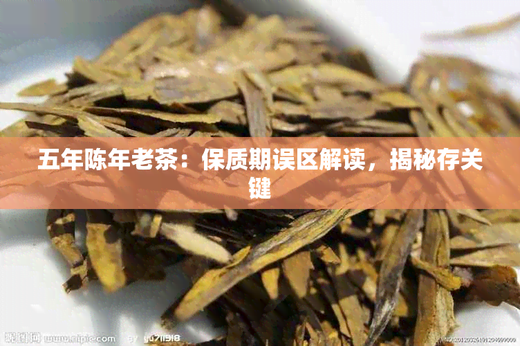 五年陈年老茶：保质期误区解读，揭秘存关键