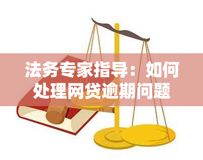 法务专家指导：如何处理网贷逾期问题并寻求专业建议