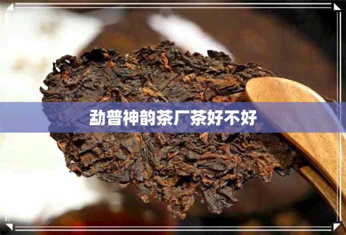 勐普神韵茶厂茶好不好