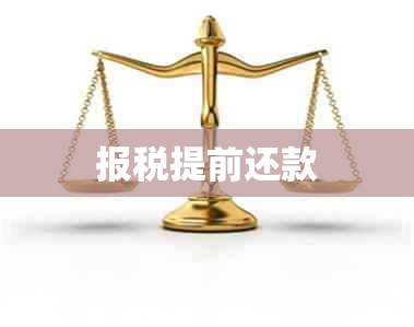 报税提前还款