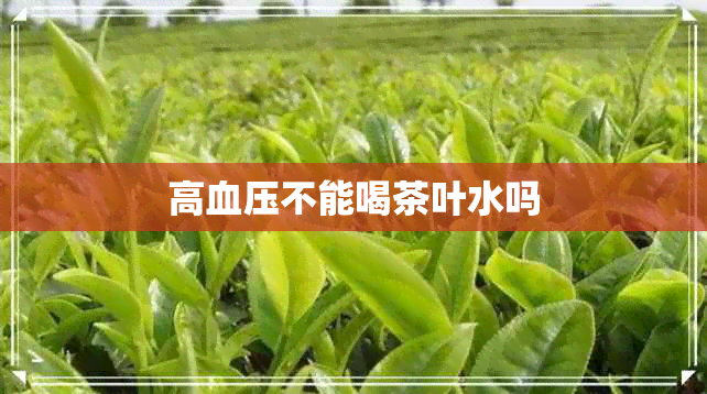 高血压不能喝茶叶水吗