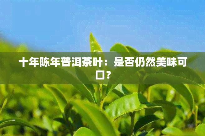 十年陈年普洱茶叶：是否仍然美味可口？