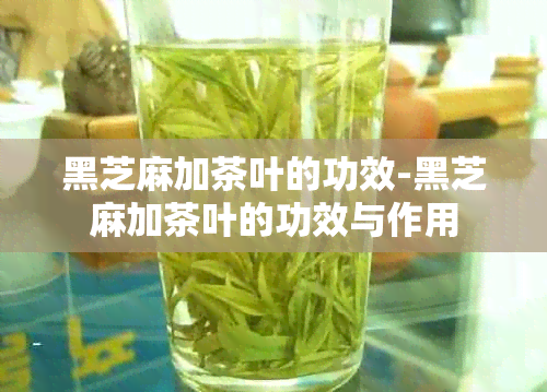 黑芝麻加茶叶的功效-黑芝麻加茶叶的功效与作用