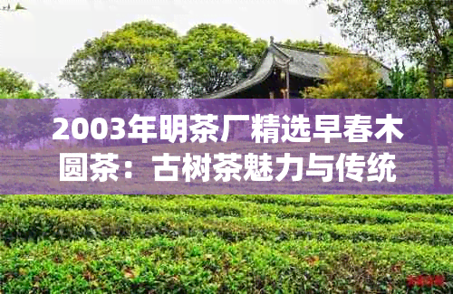 2003年明茶厂精选早春木圆茶：古树茶魅力与传统工艺的完美结合