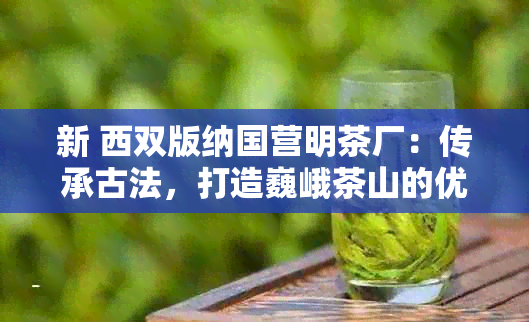 新 西双版纳国营明茶厂：传承古法，打造巍峨茶山的优质茶品