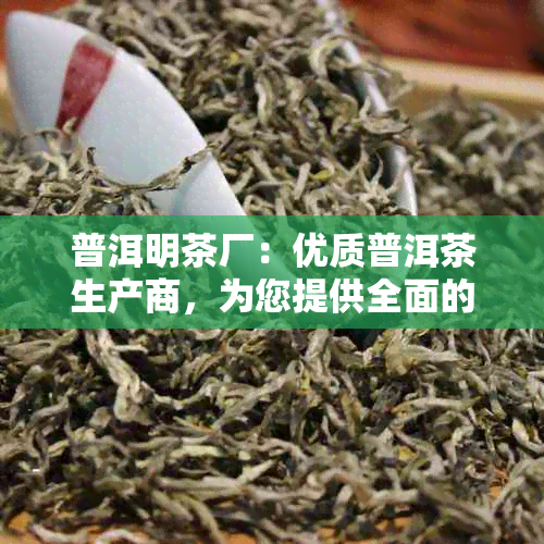 普洱明茶厂：优质普洱茶生产商，为您提供全面的茶叶产品及服务信息