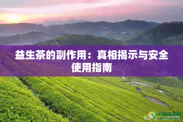 益生茶的副作用：真相揭示与安全使用指南