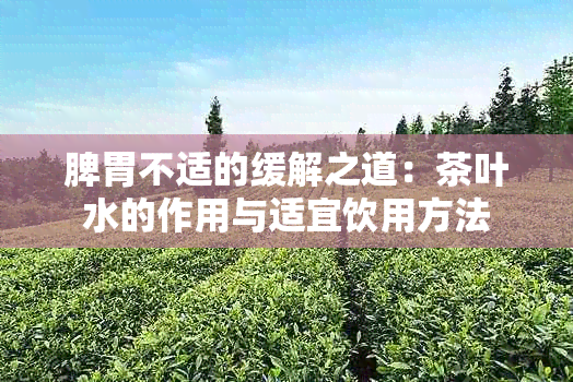 脾胃不适的缓解之道：茶叶水的作用与适宜饮用方法