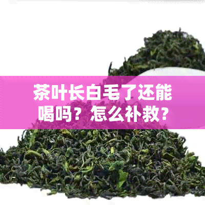 茶叶长白毛了还能喝吗？怎么补救？