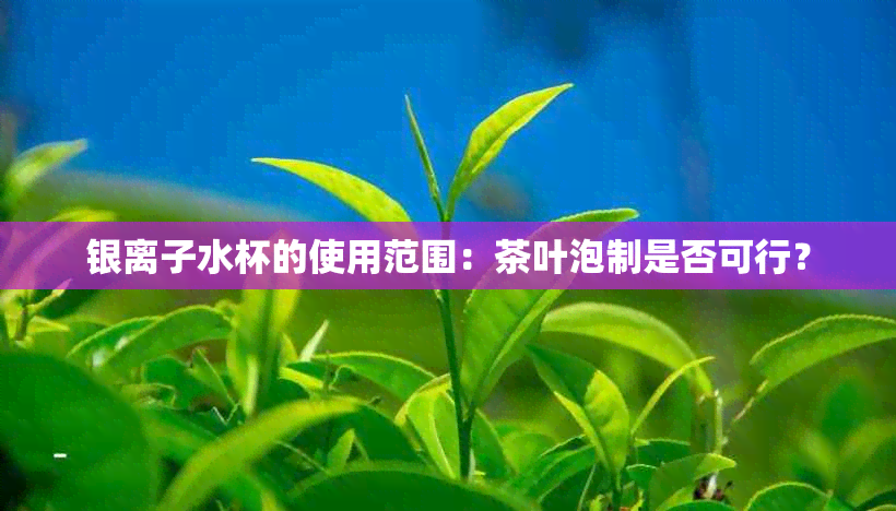 银离子水杯的使用范围：茶叶泡制是否可行？