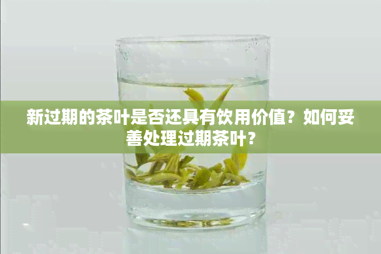 新过期的茶叶是否还具有饮用价值？如何妥善处理过期茶叶？